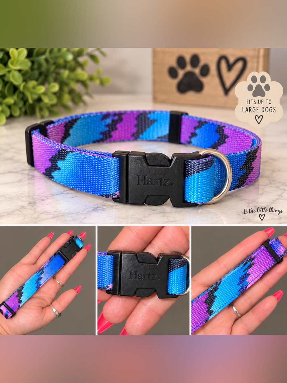Purple & Blue Zigzag Dog Collar - Durable Adjustable Pet Collar